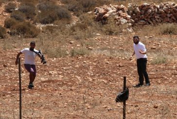 مستوطنون يسيجون أراضي بخربة الفارسية في الأغوار الشمالية