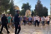 القدس : مستعمرون يقتحمون المسجد الأقصى ويؤدون طقوسا تلمودية أمام قبة الصخرة