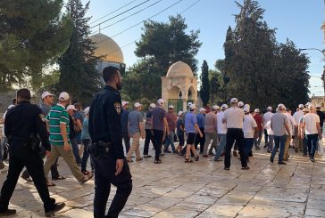 القدس : مستعمرون يقتحمون المسجد الأقصى ويؤدون طقوسا تلمودية أمام قبة الصخرة