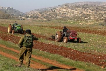أريحا - تمهيدا للاستيلاء عليها: مستوطنون يحرثون أرضا زراعية وقفية في العوجا