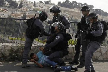 القدس-الاحتلال يعتدي على شاب من البلدة القديمة في القدس ويعتقله