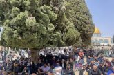 القدس-100 ألف يؤدون صلاة الجمعة الأولى من شهر رمضان في المسجد الأقصى