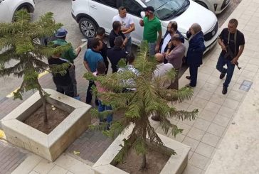 طولكرم : سطو مسلح على فرع أحد البنوك في عتيل