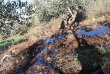 بيت لحم-مستوطنون يضخون مياها عادمة في أراضي نحالين غرب بيت لحم