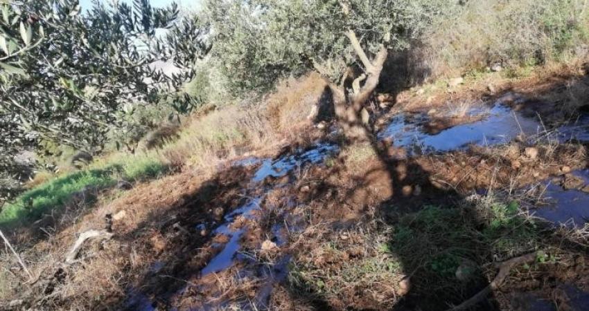 بيت لحم-مستوطنون يضخون مياها عادمة في أراضي نحالين غرب بيت لحم