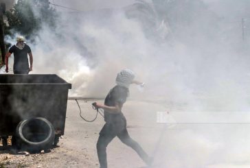 انتهاكات الاحتلال: إصابات واعتقالات واقتحام مدرسة وإحراق أشجار