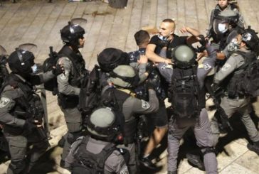 القدس : الاحتلال يعتقل مقدسيا من منطقة باب الأسباط
