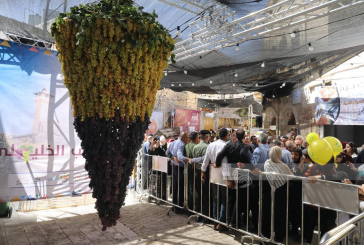 الخليل : افتتاح مهرجان أيام العنب الخليلي في البلدة القديمة