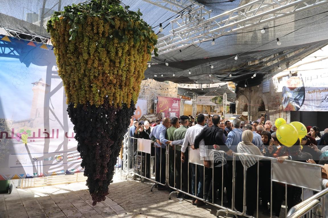 الخليل : افتتاح مهرجان أيام العنب الخليلي في البلدة القديمة