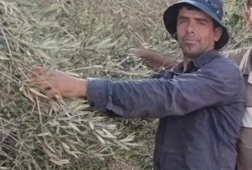 نابلس : استشهاد مواطن برصاص مستعمر في بلدة الساوية جنوب نابلس