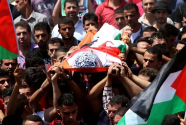 الصحة: 572 شهيداً منذ بداية العام الجاري بينهم 320 شهيدا منذ الأمس