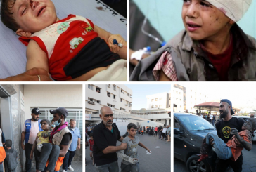 الصحة: ارتفاع حصيلة العدوان على قطاع غزة إلى 22.600 شهيد بينهم 9 آلاف طفل و5.300 امرأة