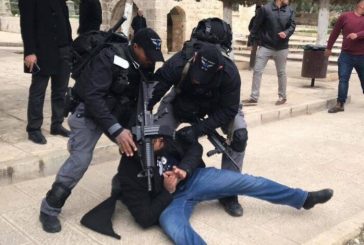 القدس : الاحتلال يعتدي على المصلين عند باب الأسباط ويعتقل امرأة وشابا