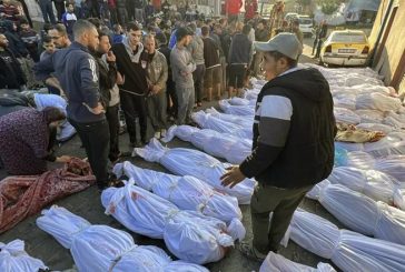 العفو الدولية: الحق في الاحتجاج هام للتحدث بحرية عما يحدث بغزة