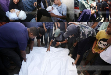 غزة : الاحتلال يصعّد جرائم الإبادة ويستهدف المستشفيات شمال القطاع