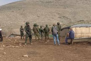 مستعمرون يسرقون خيمة سكنية ومحتوياتها في الأغوار