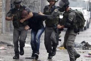 القدس-الاحتلال يعتقل مواطنا قرب بلدة حزما