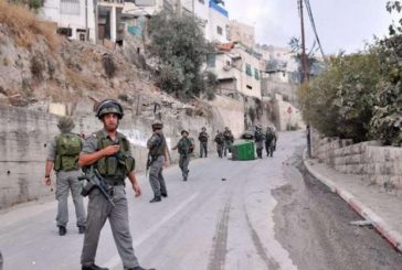 الاحتلال يقتحم بيتا وبيت دجن ويعتقل شابا غرب نابلس
