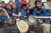 الأمم المتحدة: عدد الوجبات اليومية المقدمة للمواطنين في قطاع غزة انخفض 70%