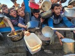 الأمم المتحدة: عدد الوجبات اليومية المقدمة للمواطنين في قطاع غزة انخفض 70%