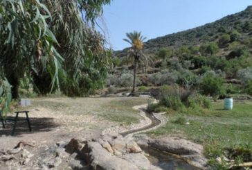 الاحتلال يعتقل مزارعا ويصادر شاحنة غرب سلفيت