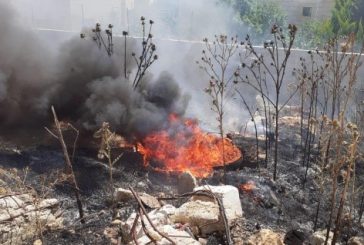 النيران تأتي على عشرات الدونمات الرعوية في الأغوار الشمالية