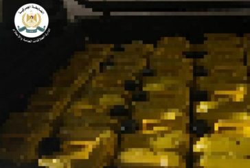 قلقيلية : ضبط أكثر من 700 كيلو زيت زيتون مغشوش قادم من إسرائيل