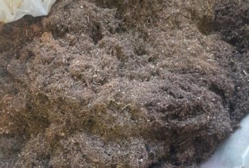 ضبط معمل لإنتاج المعسل والدخان غير القانوني في محافظة جنين