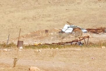 أريحا: مستوطنون يهدمون 10بركسات في المعرجات الوسطى