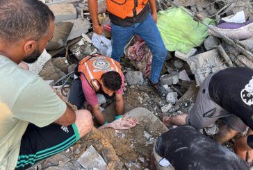 265 يوما للحرب على فلسطين