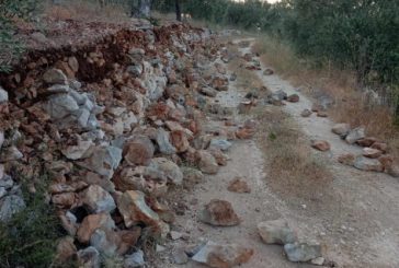 مستوطنون يعتدون على ممتلكات المواطنين ويغلقون طريقا زراعيا في قرية ياسوف