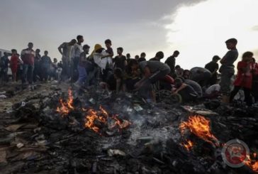 الأمم المتحدة: الوضع في رفح مفجع
