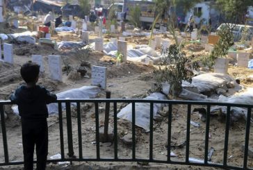 الصحة بغزة: 25 شهيدا خلال 24 ساعة و37372 منذ بدء الحرب