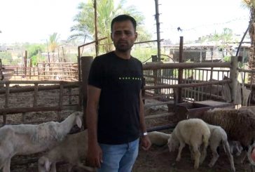 أسواق غزة تخلو من الأضاحي في العيد