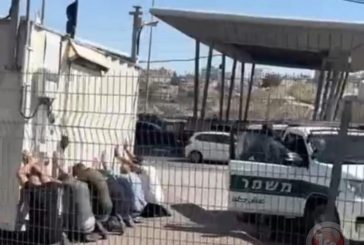 اعتقال 41 فلسطينيا عند حاجز زعيم- تنكيل واحتجاز تحت اشعة الشمس