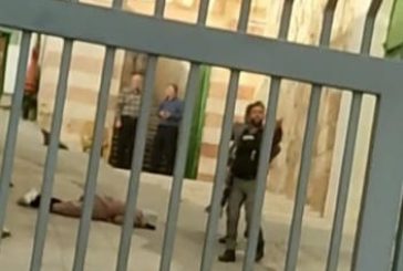 الاحتلال يعتقل فتى في الخليل بحجة حيازته سكين