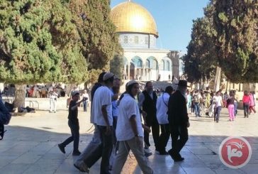 عشرات المستوطنين يقتحمون الأقصى.. وقوات الاحتلال تعتقل أسيرا
