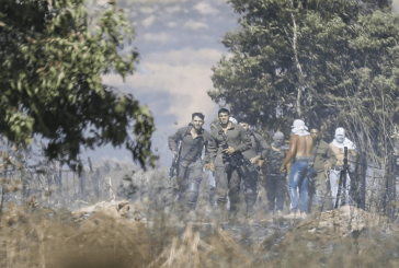 مستوطنون يُحرقون أراض زراعية في ترمسعيا
