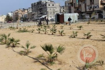 الاحتلال يدمر أكثر من 20 حديقة عامة برفح