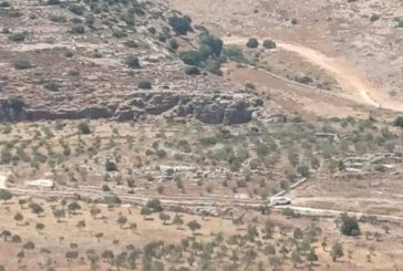 تجريف مساحات واسعة واقتلاع اشجار وهدم ممتلكات غرب سلفيت