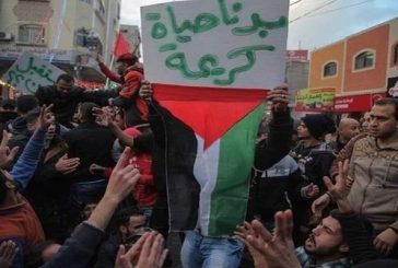 مطالب وفعاليات السبت القادم- اللجنة التحضيرية لليوم العالمي للتضامن مع غزة والأسرى