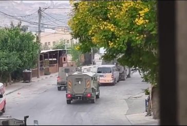 الاحتلال يعتقل شابا وامرأة من رام الله