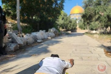 صور- صلوات علنية وجماعية للمستوطنين في الأقصى