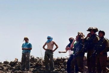 مستوطنون يهاجمون وادي الفاو في الأغوار الشمالية