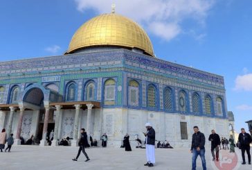 محافظة القدس: الأقصى في خطر وعلى العالم التدخل فورًا لوقف جرائم الاحتلال