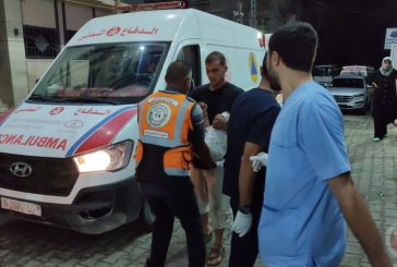 336 يوما من الحرب على قطاع غزة: شهداء بالعشرات والاحتلال يعرقل تطعيم الأطفال شرق خان يونس