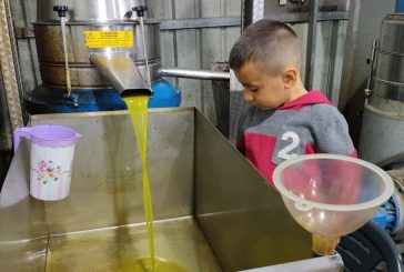 بالأرقام ...الزراعة تقدر كميات الزيت المتوقع هذا العام