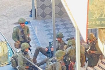 الاحتلال يعتقل أكثر من 16 مواطنا من مخيم الفوار جنوب الخليل