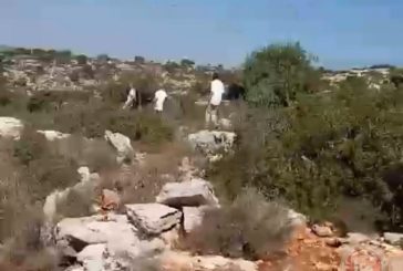 سلفيت: مستوطنون يعتدون على راعي أغنام ويهددونه بالسلاح