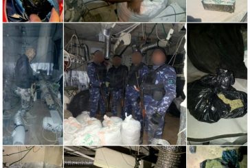 ضبط مُستنبتاً للموادِ المُخدرة جنوب بيت لحم